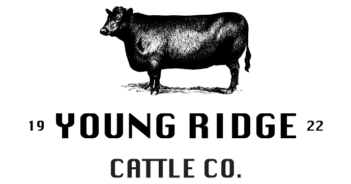 Young Ridge Cattle Co.