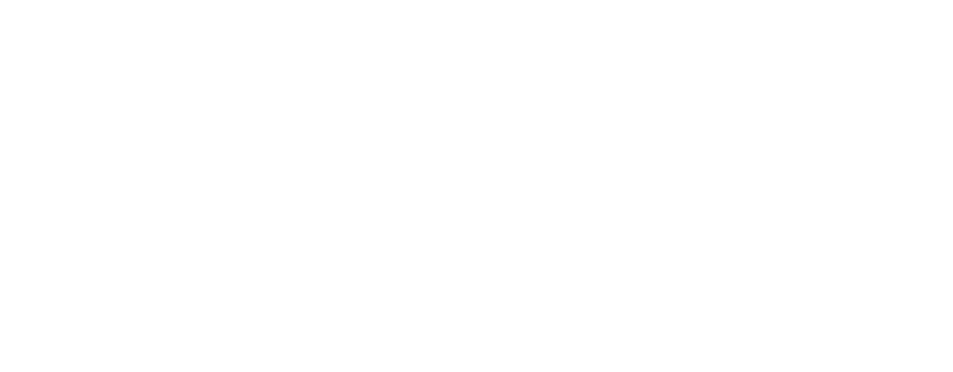 Young American Food Brands